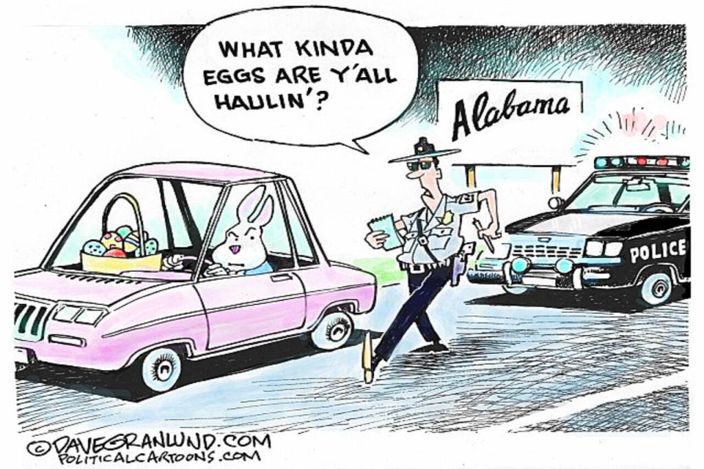 toon