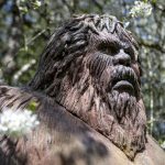 A giant Bigfoot creation made by Terry Carrigan, 60, at his home-based Skywater Studios on Sunday, April 14, 2024 in Monroe, Washington. (Annie Barker / The Herald)