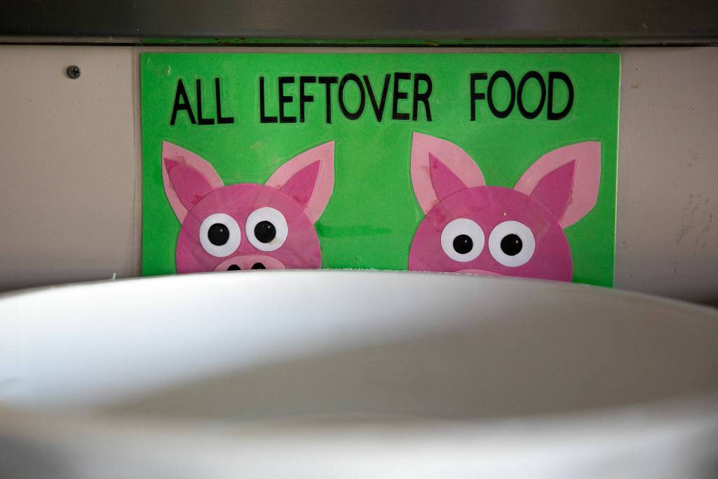A bucket is set up for food scraps at a bussing station inside the Darrington School District cafeteria on Friday, March 15, 2024, in Darrington, Washington. (Ryan Berry / The Herald)