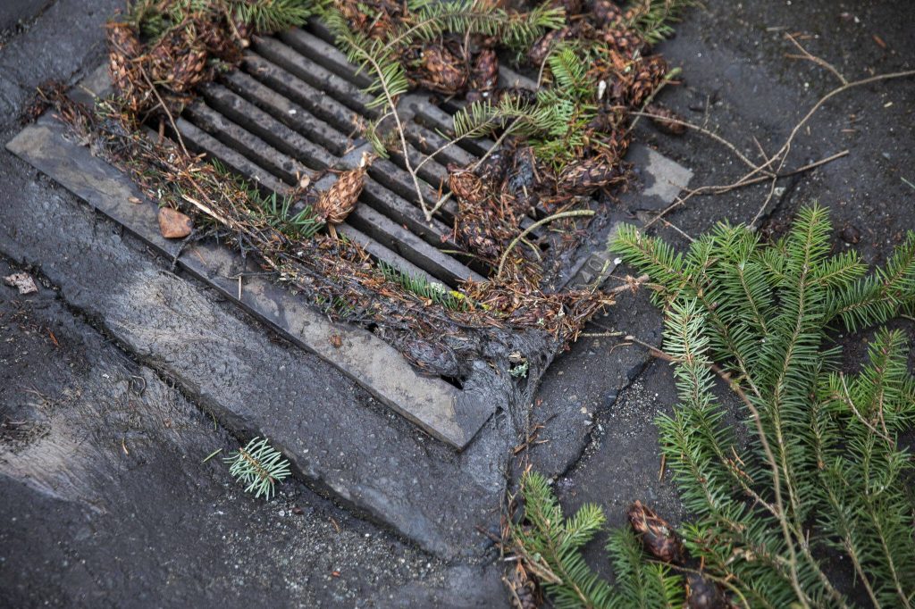 A storm drain on the Royalwood Estates Mobile Home Park that residents will be paying for in their new rent hike on Monday, March 11, 2024 in Lynnwood, Washington. (Olivia Vanni / The Herald)