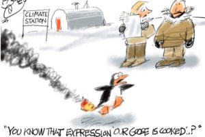 toon