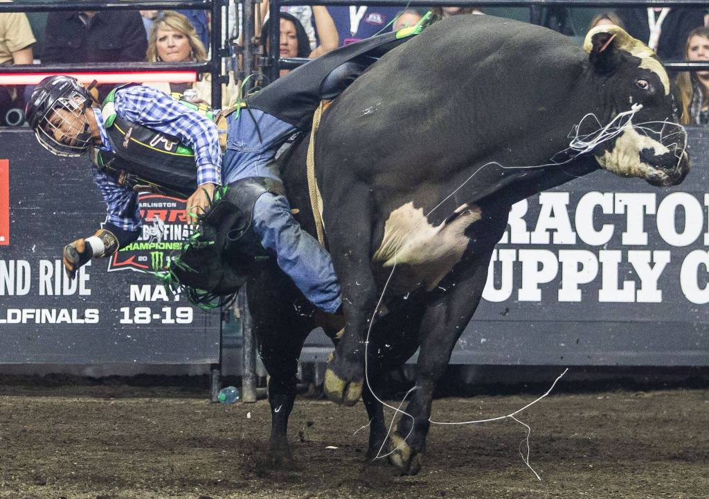 Alvaro Ariel is throw off by the bull War Train during PBR Everett at Angel of the Winds Arena on Wednesday, April 17, 2024 in Everett, Washington. (Olivia Vanni / The Herald)