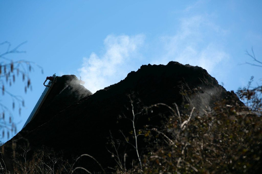 Steam rises from a pile of hog fuel, leftover processed wood bits, as a conveyor belt adds to the pile neighbors gather to complain about DTG Enterprises on Tuesday, March 5, 2024, in Snohomish, Washington. (Ryan Berry / The Herald)