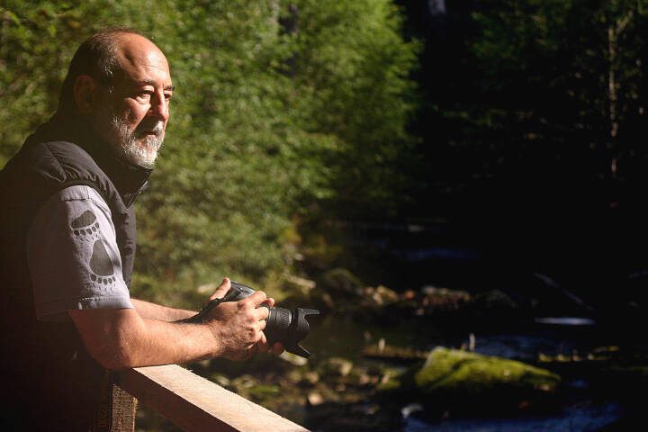 Paul Paquet, an author and expert on bears and wolves, watches for bears from a viewing stand overlooking a salmon stream on Gribbell Island, on the north coast of British Columbia, Canada, on Oct. 13, 2006. (Tom Uhlenbrock/St. Louis Post-Dispatch/MCT)