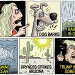 toon
