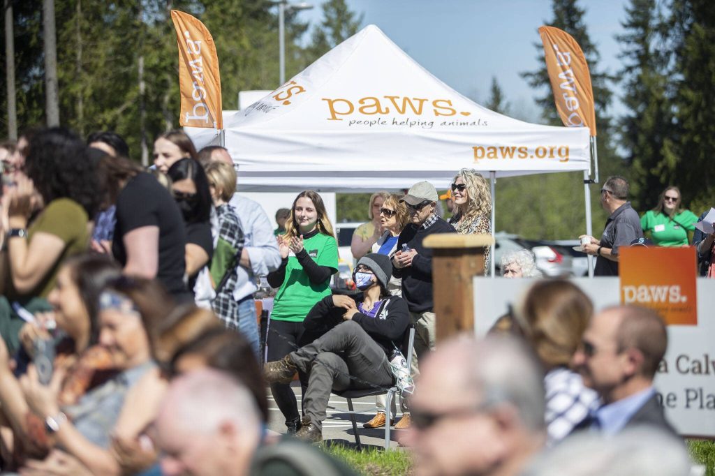 People applaud during the grand opening of the new PAWS Wildlife Center on Saturday, April 20, 2024 in Snohomish, Washington. (Olivia Vanni / The Herald)