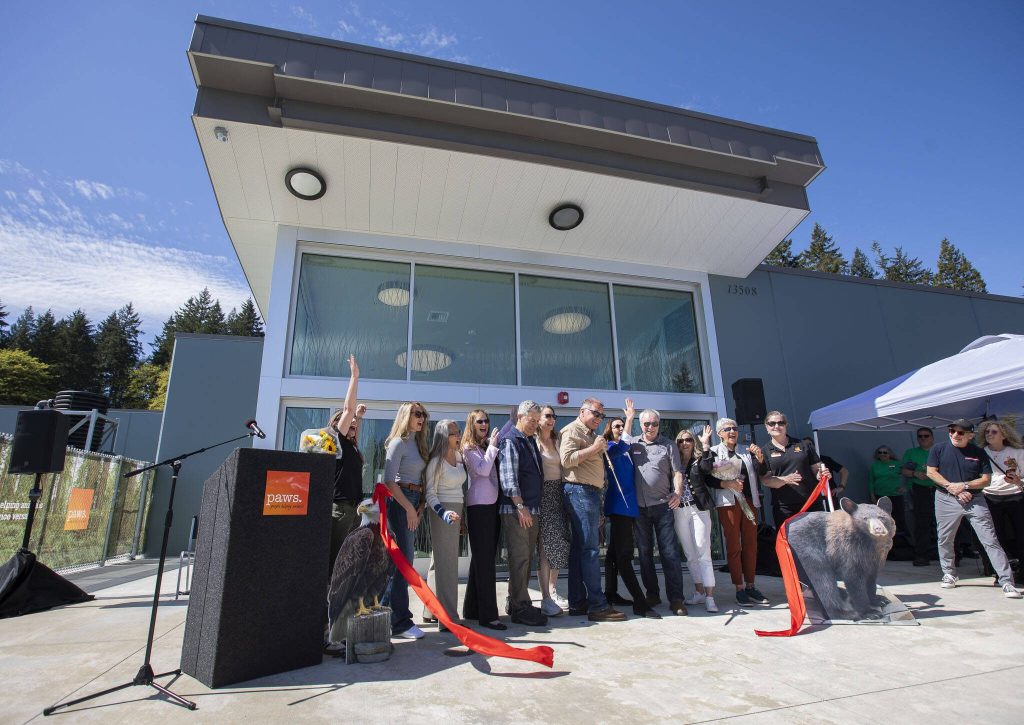 Rep. Strom Peterson helps cut the ribbon at the grand opening to the new PAWS Wildlife Center on Saturday, April 20, 2024 in Snohomish, Washington. (Olivia Vanni / The Herald)