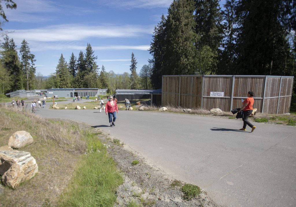 People explore the new PAWS Wildlife Center campus on Saturday, April 20, 2024 in Snohomish, Washington. (Olivia Vanni / The Herald)