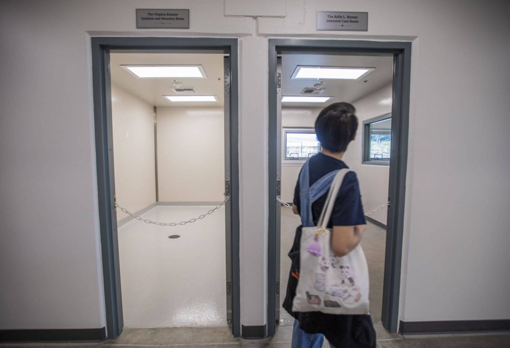 People explore the new PAWS Wildlife Center during the grand opening on Saturday, April 20, 2024 in Snohomish, Washington. (Olivia Vanni / The Herald)