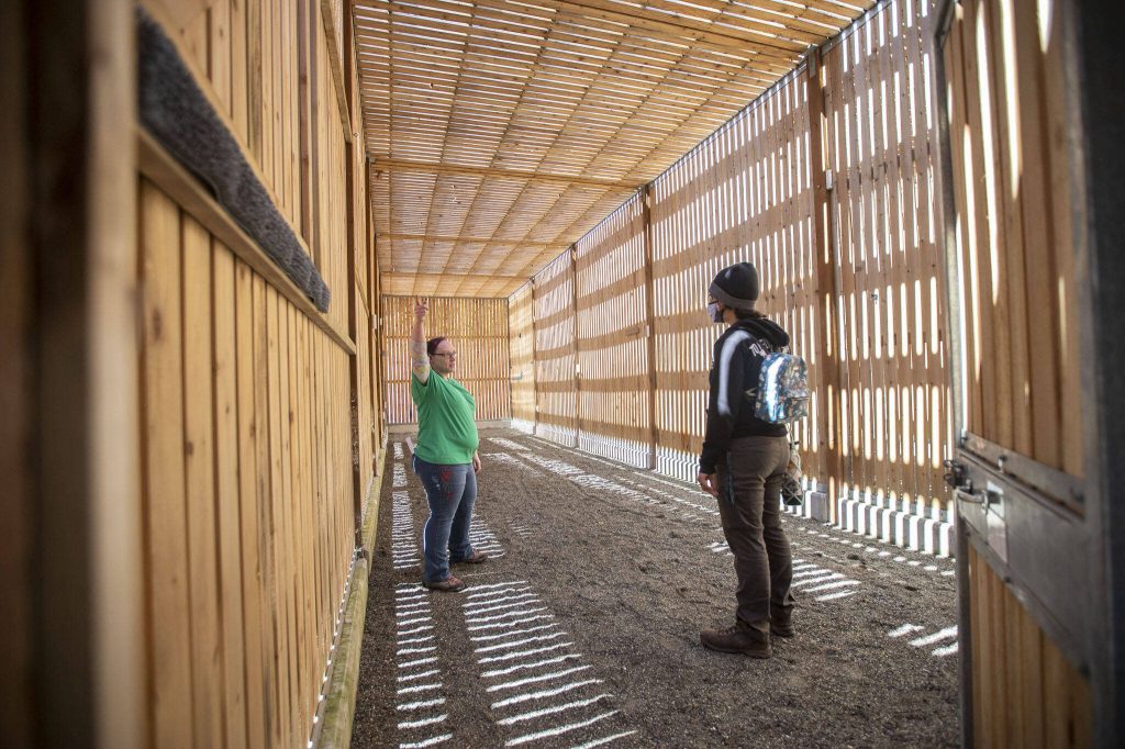 Inside one of the raptor structures at the new PAWS Wildlife Center on Saturday, April 20, 2024 in Snohomish, Washington. (Olivia Vanni / The Herald)