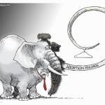 toon