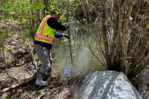 Shannon & Wilson used a hand auger to sample for PFAS from a Big Gulch Creek drainage basin last year. The sampling found elevated levels of the forever chemicals in soil and surface water at the south end of the countys Paine Field property. (Shannon & Wilson)