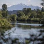 Snow is visible along the top of Mount Pilchuck from bank of the Snohomish River on Wednesday, May 10, 2023 in Everett, Washington. (Olivia Vanni / The Herald)