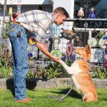 Brayden Burn shakes Tsunami’s paw. Tsunami is a 2-year-old smooth sable collie, a breed that breeder Corinne Boon said is going extinct in Europe, despite being a good family and herding pet. (Luisa Loi / Whidbey News-Times)