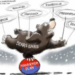 toon