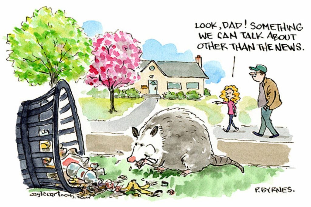 toon