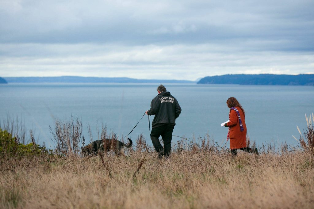 Pet detective Jim Branson and three-year-old Rafael the dog walk through an abandoned property with reporter Aina de Lapparent Alvarez while searching for Lyanna the cat on Saturday, March 2, 2024, in Everett, Washington. (Ryan Berry / The Herald)