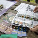 An attendee peruses information during a Whidbey Wild Mushroom Tour at South Whidbey Tilth Farmers Market on Saturday, April 27, 2024 in Langley, Washington. (Annie Barker / The Herald)