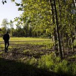 Don Doody walks around the expansive property. (Olivia Vanni / The Herald)