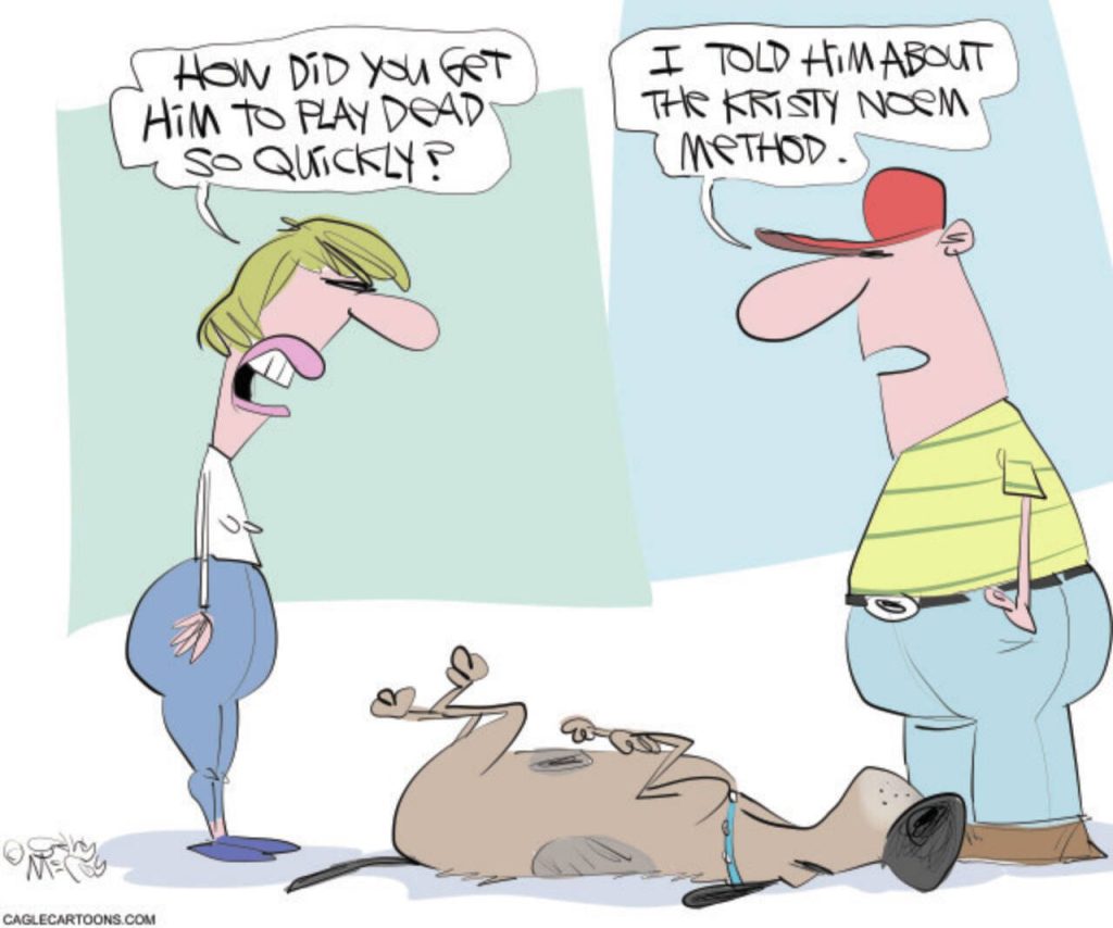 toon