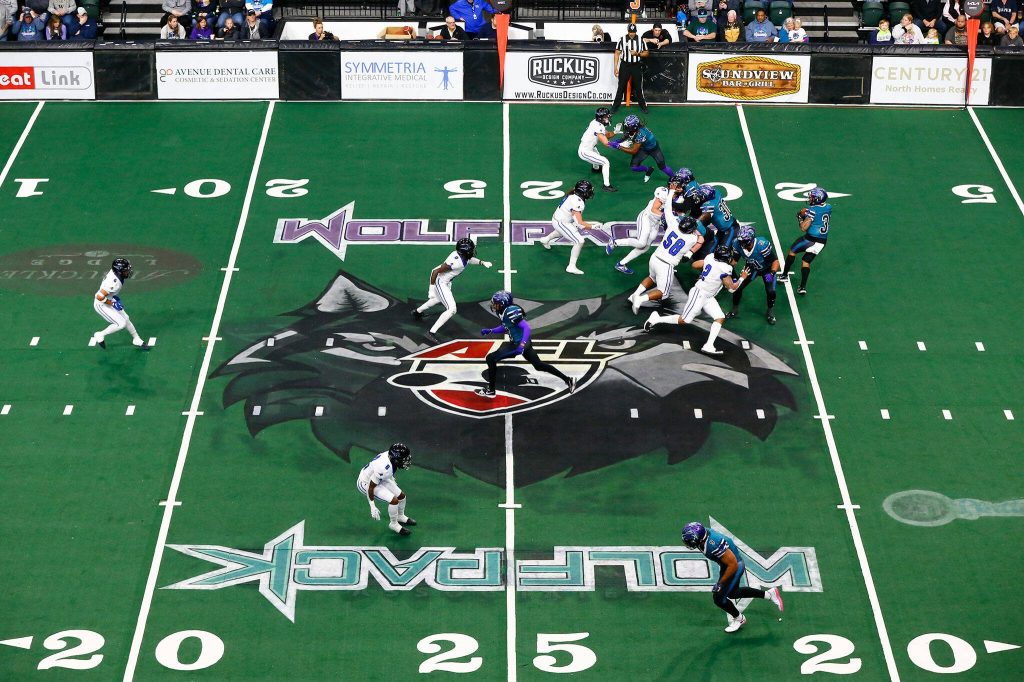 Quarterback Jacob Taase drops back during the Washington Wolfpacks inaugural home opener against Billings on Sunday, May 5, 2024, a Angel of the Winds Arena in Everett, Washington. (Ryan Berry / The Herald)