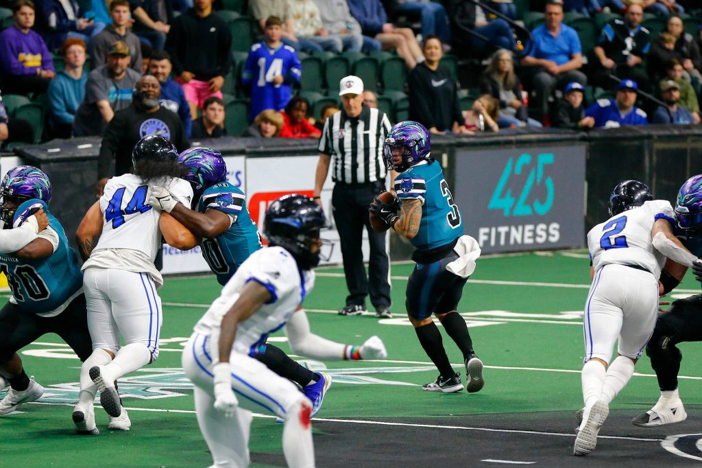 Quarterback Jacob Taase drops back to pass during the Washington Wolfpacks inaugural home opener against Billings on Sunday, May 5, 2024, a Angel of the Winds Arena in Everett, Washington. (Ryan Berry / The Herald)