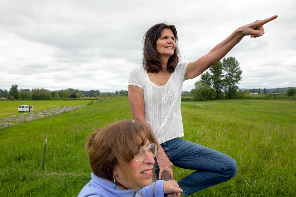 Snohomish residents Barbara Bailey, right, and Beth Jarvis sit on a gate atop a levee on Baileys property on Monday, May 13, 2024, at Bailey Farm in Snohomish, Washington. Bailey is concerned the expansion of nearby Harvey Field Airport will lead to levee failures during future flood events due to a reduction of space for floodwater to safely go. (Ryan Berry / The Herald)