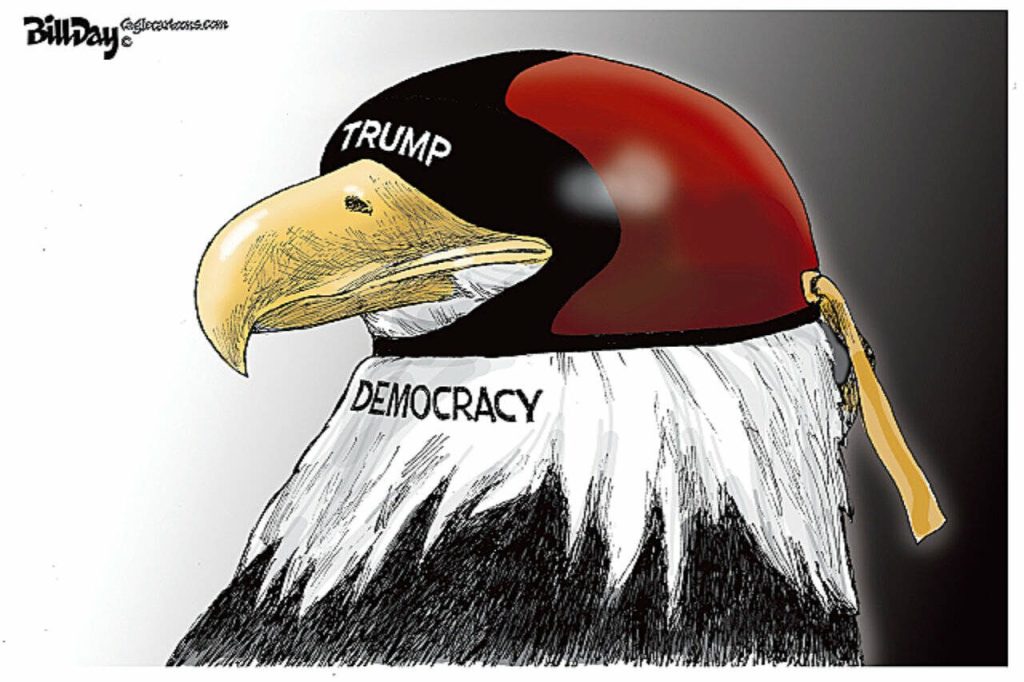 toon