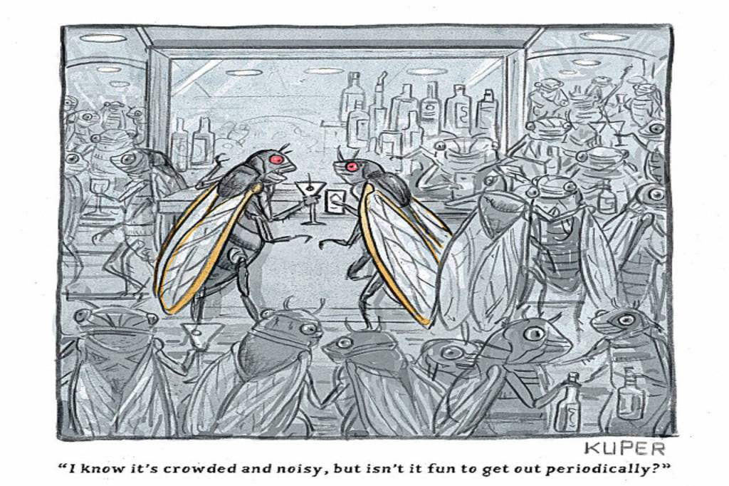 toon