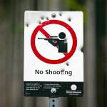 A No Shooting sign on DNR land near Spada Lake is full of bullet holes on Thursday, Feb. 8, 2024, along Sultan Basin Road near Sultan, Washington. People frequent multiple locations along the road to use firearms despite signage warning them not to. (Ryan Berry / The Herald)