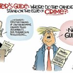 toon