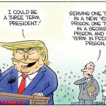 toon