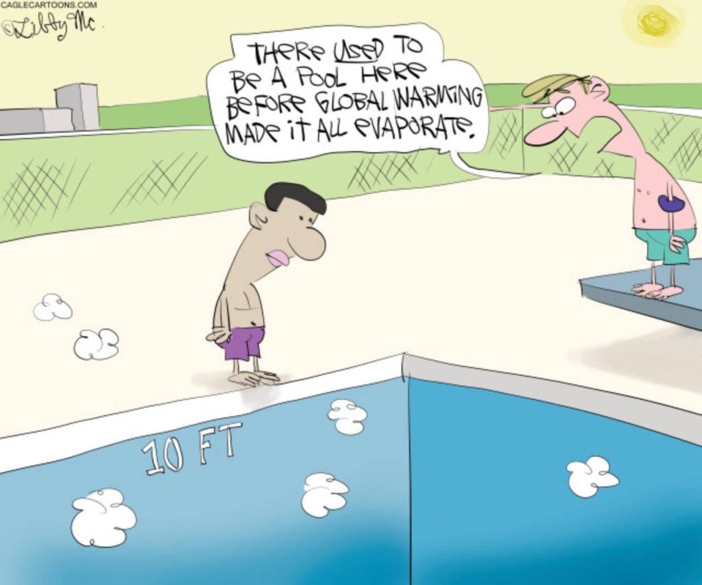 toon