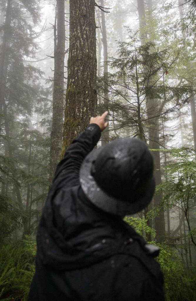 Mark Arneson, Department of Natural Resources cascade district manager, talks about tree growth in a portion of the Stilly Revisited timber sale on Wednesday, May 29, 2024 in Arlington, Washington. (Olivia Vanni / The Herald)