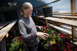 Edmonds Parks Manager Jesse Curran talks about how they are remediating grey mold from the hanging baskets on Friday, May 31, 2024, in Edmonds, Washington. (Olivia Vanni / The Herald)