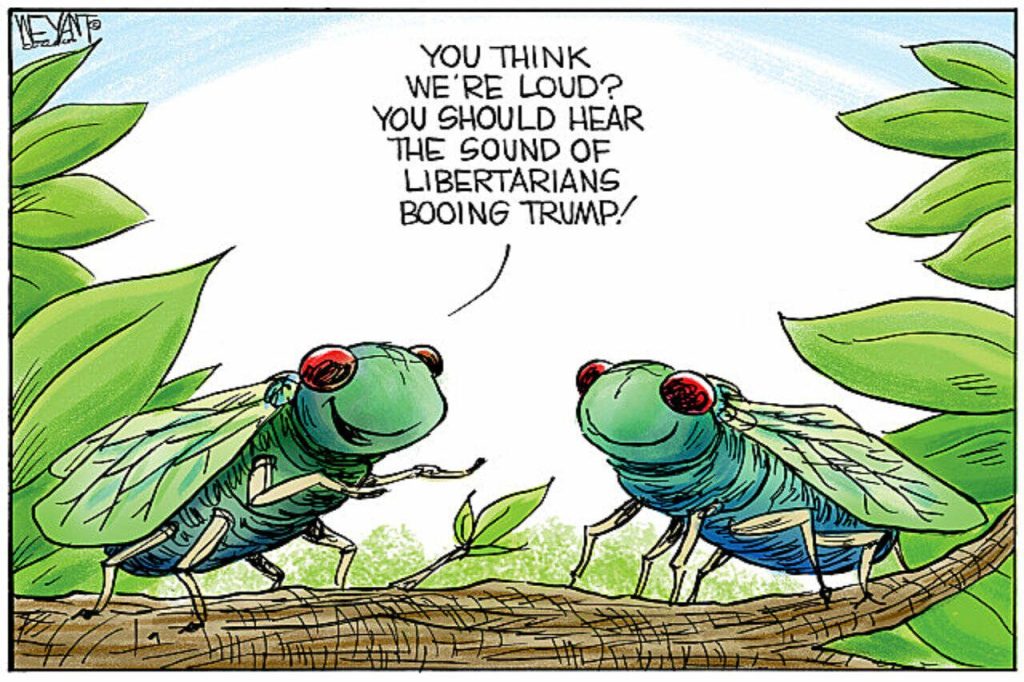 toon