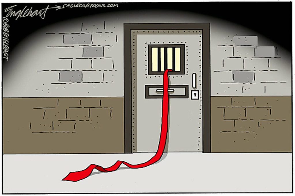 toon