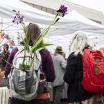 Multiple plants stick out of a backpack during the first day of Sorticulture on Friday, June 9, 2023 in Everett, Washington. (Olivia Vanni / The Herald)