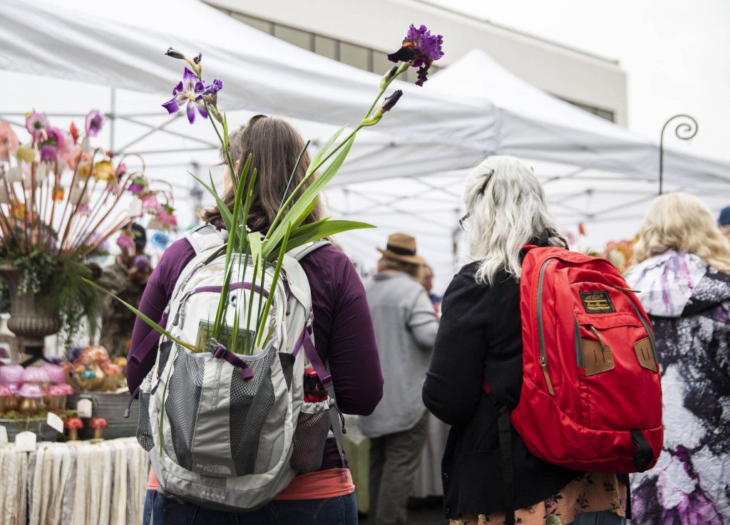 Multiple plants stick out of a backpack during the first day of Sorticulture on Friday, June 9, 2023 in Everett, Washington. (Olivia Vanni / The Herald)
