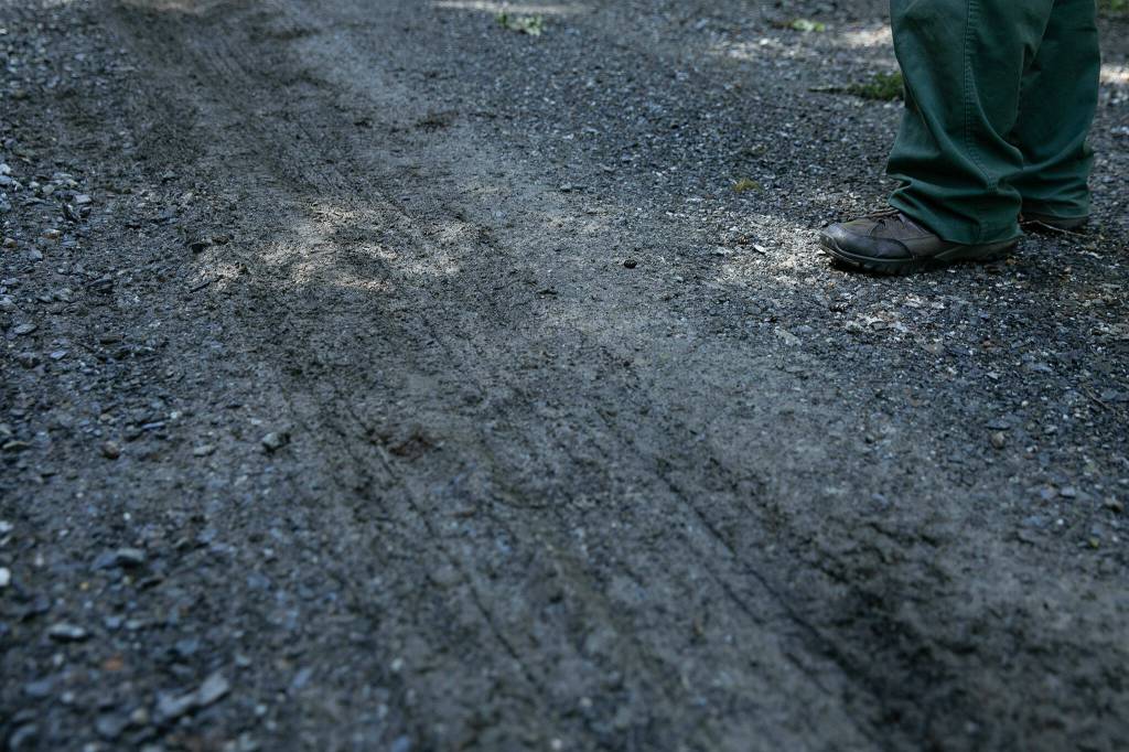 Tire treads can be seen in the mucky gravel of Mountain Loop Highway on Thursday, June 6, 2024, in rural Snohomish County, Washington. (Ryan Berry / The Herald)