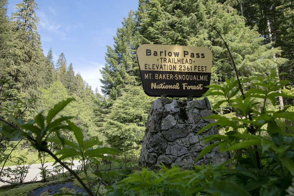Barlow Pass Trailhead is the end of the line on the Verlot side of Mountain Loop Highway during the roads closure on Thursday, June 6, 2024, in rural Snohomish County, Washington. (Ryan Berry / The Herald)