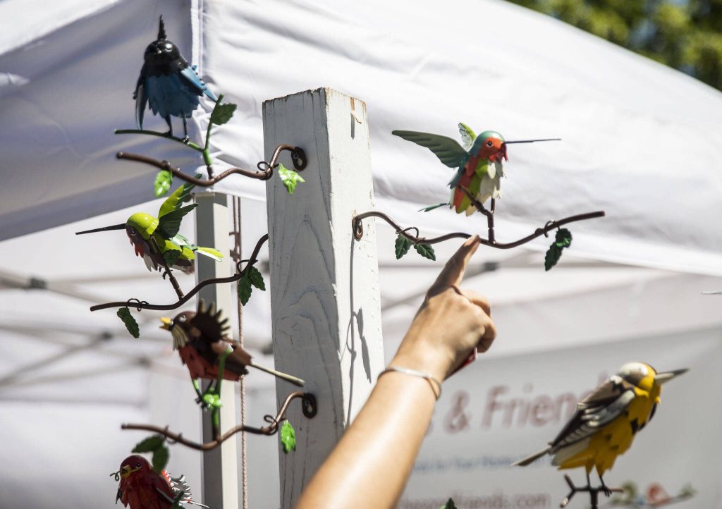 A person picks out a hummingbird to purchase from Finches and Friends during Sorticulture on Friday, June 7, 2024, in Everett, Washington. (Olivia Vanni / The Herald)
