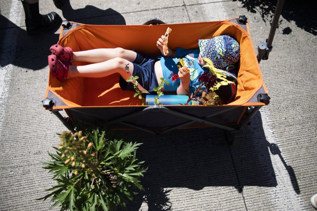 Koda Bishop, 3, eats pizza and sits in a cart with plants during Sorticulture on Friday, June 7, 2024, in Everett, Washington. (Olivia Vanni / The Herald)