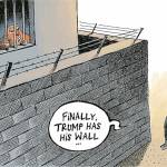 toon