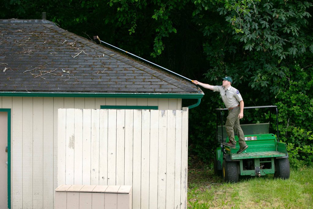 Park Ranger assistant Aidan Link does his best to remove debris from the top of the restroom at Kayak Point Regional County Park on Friday, June 14, 2024, near Stanwood, Washington. Link said park staff are still working to tidy up the park as they prepare for the busy season. (Ryan Berry / The Herald)