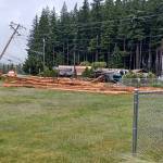 A log truck rolled over into power lines on Monday, June 17, in Darrington. (Photo provided by Alexis Monical)