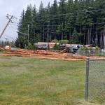 A log truck rolled over into power lines on Monday, June 17, in Darrington. (Photo provided by Alexis Monical)
