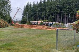 A log truck rolled over into power lines on Monday, June 17, in Darrington. (Photo provided by Alexis Monical)