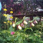 This garden features a collection of original garden art as well as unique, rare and wonderful plants. (Whidbey Island Garden Tour)