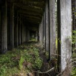 A snowshed tunnel along the Iron Goat Trail in Leavenworth, Washington on Sunday, May 19, 2024. (Annie Barker / The Herald)